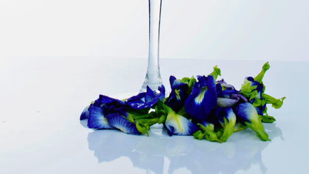 A cluster of bright blue butterfly pea flowers with green stems rests on a reflective white surface, creating a striking visual contrast.の写真素材