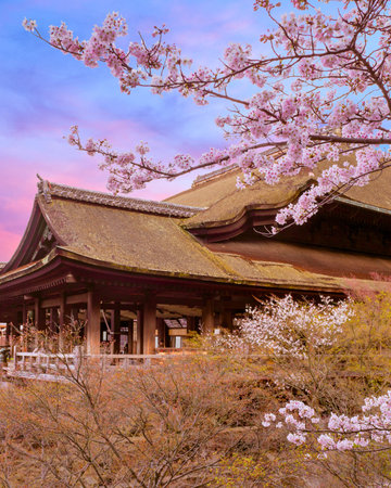 A traditional Japanese temple with a curved roof is nestled on a hillside, surrounded by delicate pink cherry blossoms.の写真素材