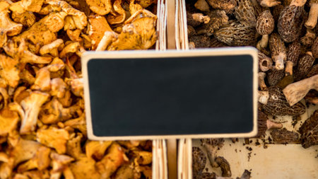 A close-up overhead view of dried chanterelle mushrooms and dark dried mushrooms with a small blackboard in the center.の写真素材