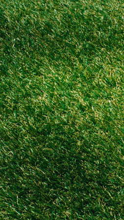 A close-up overhead view of a lush green lawn, featuring a dense carpet of grass blades with a few scattered brown leaves.の写真素材