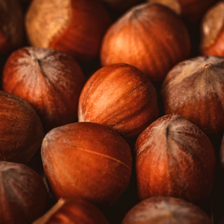 A detailed, macro shot showcases the textured shells of numerous roasted hazelnuts, bathed in warm, inviting light.の写真素材