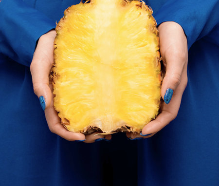 A close-up shot shows two hands holding a juicy, golden pineapple slice. The vibrant blue fabric behind creates a striking contrast.の写真素材