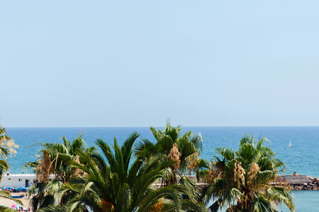 Lush green palm trees frame a tranquil blue ocean under a clear, bright sky, suggesting a peaceful coastal vacation destination.の写真素材