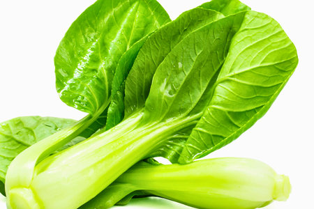 A close-up shot of vibrant green bok choy with crisp white stems, showcasing its fresh texture and healthy appearance.の写真素材