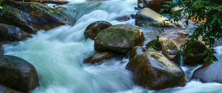 A close-up view of a turbulent mountain stream flowing over smooth, dark boulders, with lush green foliage in the background.の写真素材