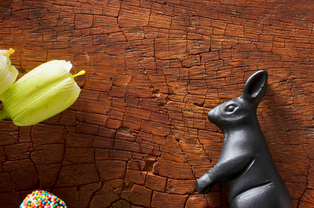 A dark, stylized rabbit figurine stands on a richly textured wooden surface next to delicate light green flowers and a hint of a circular opening.の写真素材