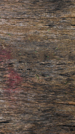 Close-up view of weathered, horizontal wood planks with subtle, abstract splashes of color and texture.の写真素材