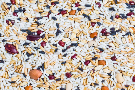 A close-up, overhead view of a textured blend of various grains and dried beans, showcasing a variety of colors and shapes.の写真素材