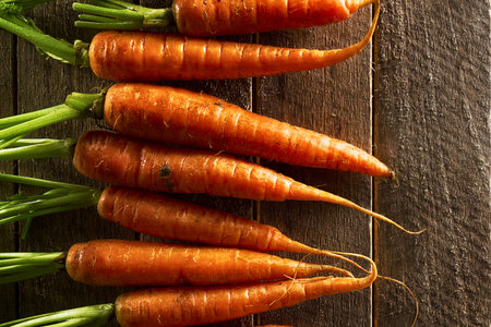 A vertical arrangement of vibrant orange carrots with green tops rests on weathered, dark wooden planks, showcasing their natural texture.の写真素材