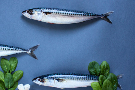 A close-up shot of three mackerel fish on a blue surface with hints of green aquatic plants.の写真素材