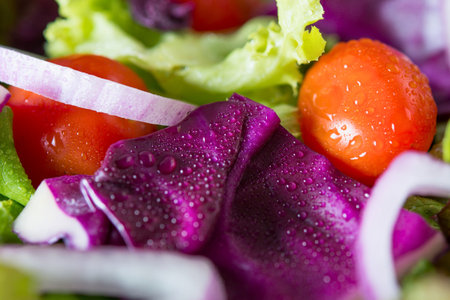 A close-up view of a colorful salad featuring bright red tomatoes, deep purple cabbage, and crisp green lettuce with white onion slices.の写真素材