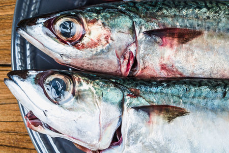 Close-up view of two whole, fresh mackerel fish resting on a bed of ice, showcasing their detailed scales and vibrant eyes.の写真素材