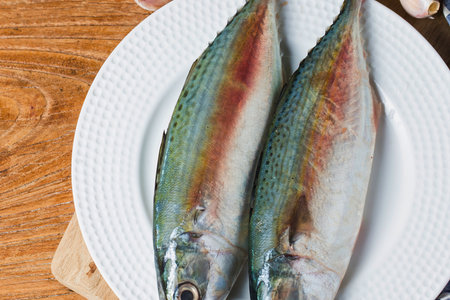 Two whole, uncooked mackerel fish with vibrant blue and red markings lie on a white plate, awaiting preparation.の写真素材