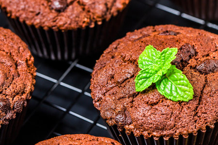 Close-up of rich chocolate muffins, some with chocolate chips, topped with vibrant green mint leaves on a black wire cooling rack.の写真素材