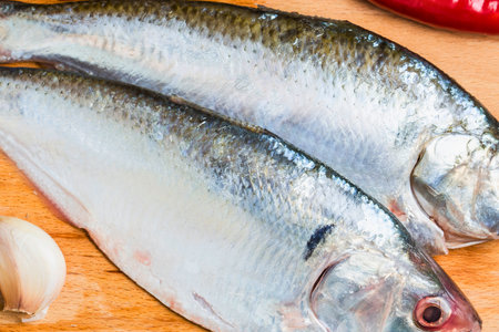 Two whole, uncooked sardines are displayed on a rustic wooden surface alongside a clove of garlic and a red chili pepper.の写真素材