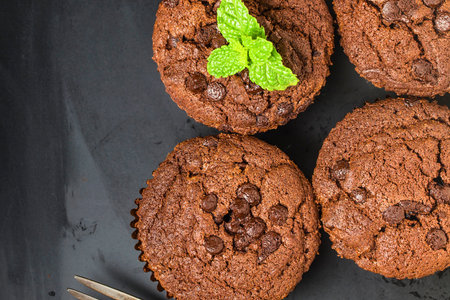 Close-up of four rich chocolate muffins with visible chocolate chips and a sprig of fresh mint on top.の写真素材