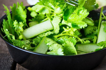 A vibrant bowl filled with chopped fresh cilantro and sliced cucumber, ready to be served as a refreshing side or garnish.の写真素材