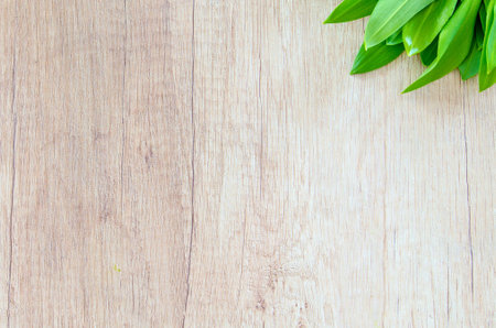 A top-down view of vibrant green leaves resting on a light-colored, textured wooden surface, creating a natural and clean aesthetic.の写真素材