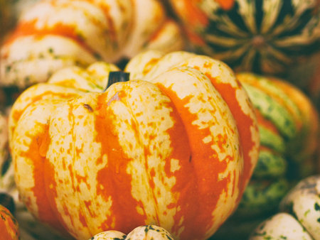 A close-up of several small, decorative gourds and pumpkins in various colors and patterns, perfect for autumn decor.の写真素材