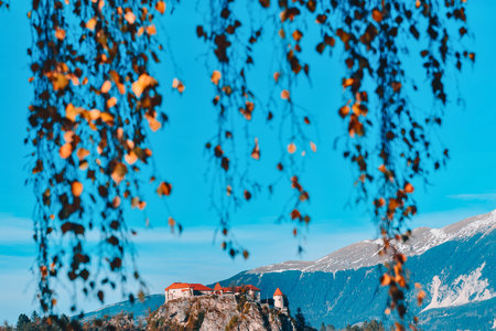 Foreground branches with autumn leaves hang down, obscuring a sunlit mountain village and snow-capped peaks under a bright blue sky.の写真素材