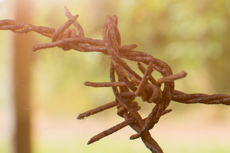 A detailed view of tangled, weathered barbed wire, suggesting age and rust, set against a softly focused natural backdrop.の写真素材