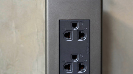 A close-up view of a sleek, silver vertical electrical outlet featuring two universal sockets for various plug types.の写真素材