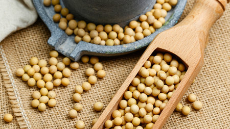 A close-up overhead view of dried soybeans spilling from a mortar and a wooden scoop onto a textured burlap surface.の写真素材