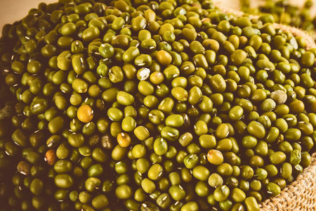 A detailed, textured close-up of a bountiful harvest of small, green mung beans, piled high in a sack.の写真素材