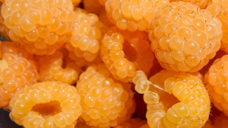 A detailed macro shot of bright orange, hollow, puffed corn snacks with a porous texture.