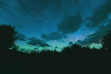 A peaceful night scene showing stars, clouds, and a dark tree silhouette outdoors.