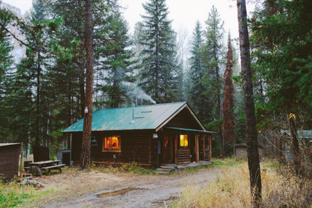 A small wooden cabin surrounded by tall trees in a forest setting with warm glow from windows.