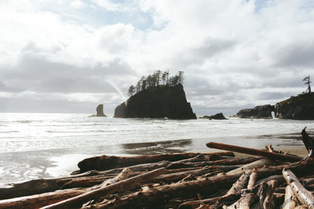 A peaceful coastal scene with rock formations, driftwood, and the ocean under a cloudy sky.