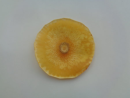 Breadfruits chips. Sweet and salty chips made from breadfruit slices. Breadfruit or called Sukun (Artocarpus altilis) is a native fruit from Indonesia.の写真素材