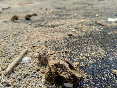 Rubbish in the beach make looks dirty and messy. the pollution because many plastic, wood and others...