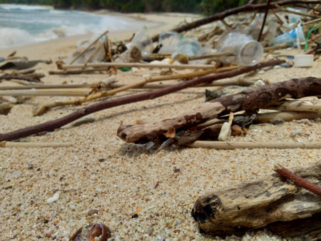 Rubbish in the beach make looks dirty and messy. the pollution because many plastic, wood and others waste.の写真素材