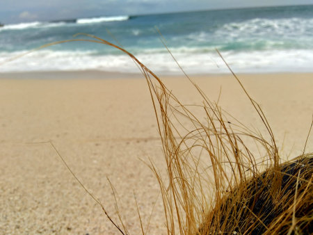 Rubbish in the beach make looks dirty and messy. the pollution because many plastic, wood and others waste.の写真素材