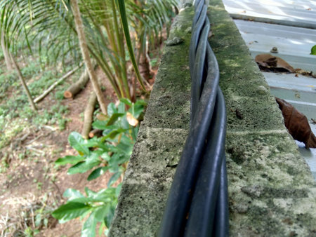 high voltage wire in the nature background