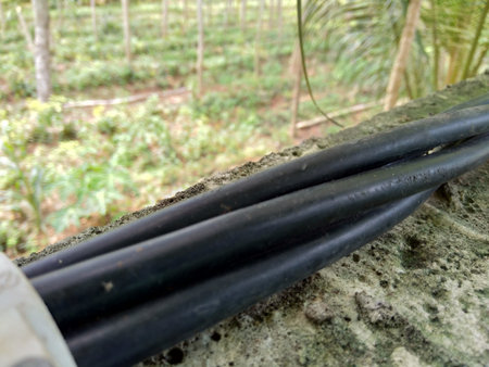 high voltage wire in the nature background