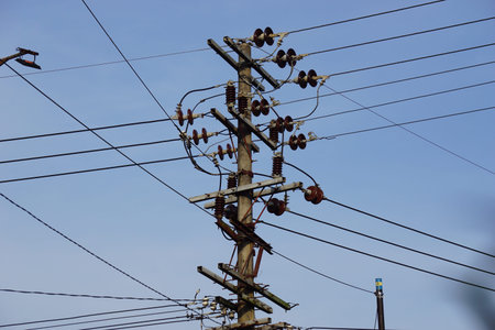Electric cable network with a natural background.