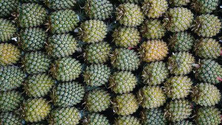 Pineapple tree (Ananas comosus) with a natural background. Exotic tropical fruit. Indonesian call it nanasの写真素材