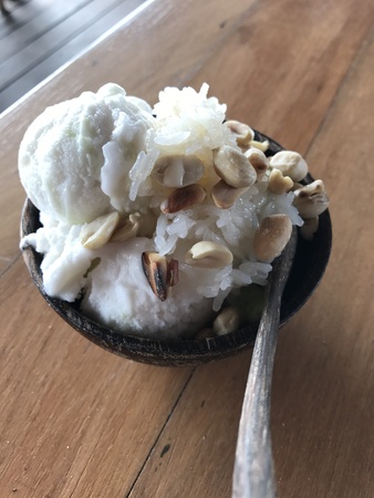 Coconut ice creamの写真素材