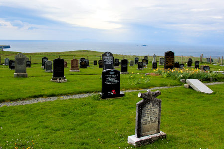 graveyardのeditorial素材