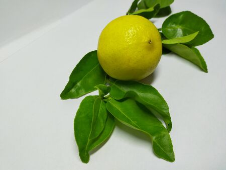 Close up Lime isolated on a white backgroundの写真素材