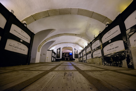 The crypt of Museum of St. Fransis Orderのeditorial素材