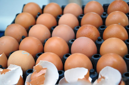 brown chicken eggs&eggshell in carton