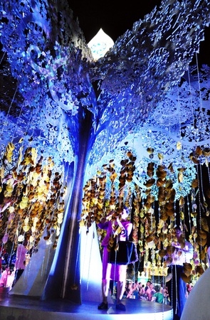 BANGKOK - DEC 5 2011: Celebrate on sanamluang at the Kingのeditorial素材