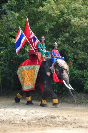 Elephant  show at Samphran Elephant Ground & Zoo, Thailand.のeditorial素材