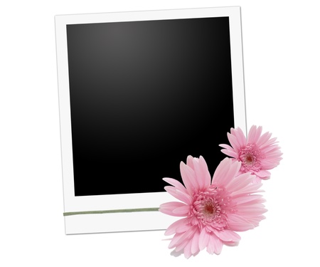 Flower pink on  blanksの写真素材