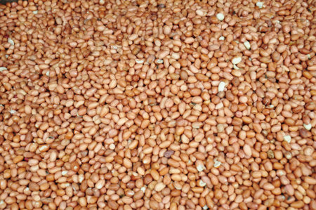 various nuts on a  background 