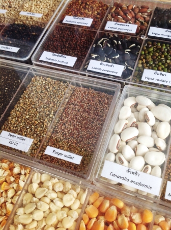 Seed and nuts with titels collectionの素材